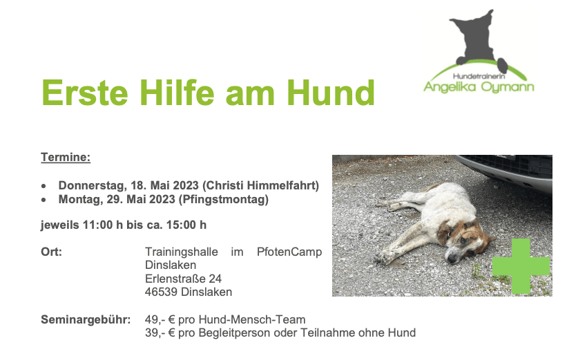Read more about the article Erste Hilfe Kurs mit Angelika Oymann