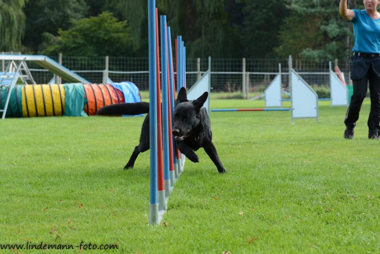 Agility1