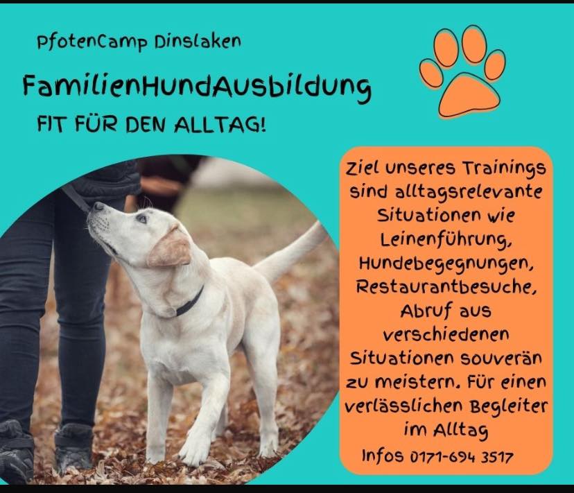 FamilienHundAusbildung im PfotenCamp
Wir machen Euch fit für den Alltag!
Immer auf die verschiedenen Mensch-Hunde Teams abgestimmtes Training.
Nächste Kursstarts:
Donnerstag 02.10.25 / 17:00
Dienstag 07.10.25 / 19:00
Noch einzelne Plätze verfügbar!
#pfotencamp_dinslaken #hundetrainingdinslaken #hundeschuledinslaken #Hundetraining #hundetrainingonline #hundetrainingonlinevermarktung