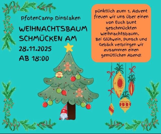 Liebe Kunden und Freunde des PfotenCamp, wir freuen uns auf Euch und einen bunt geschmückten Weihnachtsbaum!
Bei Glühwein, Punsch und leckerem Gebäck werden wir einen schönen Abend verbringen!😘
Unsere Tombola darf natürlich auch nicht fehlen 😉 viel Glück! #pfotencamp_dinslaken #hundeschuledinslaken