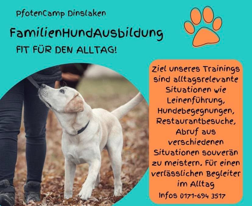 FamilienHundAusbildung im PfotenCamp!
Kursstart 3.März um 17:00
Jetzt anmelden und den Grundstein für ein harmonisches Mensch-Hund Team legen! #pfotencamp_dinslaken #hundetrainingdinslaken #hundeschuledinslaken