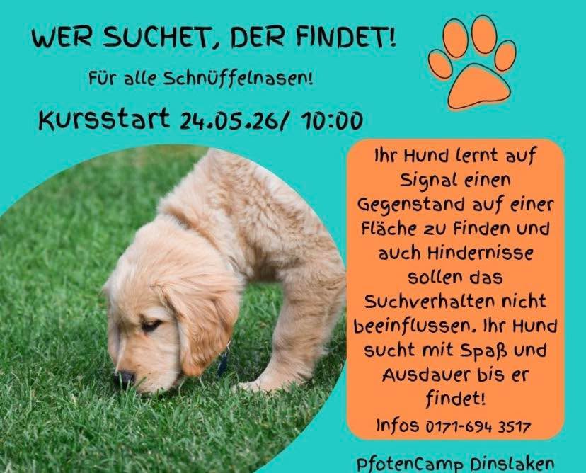 Wer suchet, der findet!
Ein Beschäftigungskurs für Schnüffelnasen! Ihr Hund lernt auf Signal einen Gegenstand auf einer Fläche zu Finden und auch Hindernisse sollen das Suchverhalten nicht beeinflussen. Ihr Hund sucht mit Spaß und Ausdauer bis er findet!
5 Stunden Praxistraining (1h wöchentlich)
Start 24.05. / 10:00
Preis € 105,00