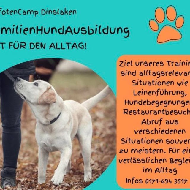 Nächster Kursstart FamilienHundAusbildung
donnerstags 18:00 ab 9.Juli 2026
Wir machen Euch fit für den Alltag durch strukturiertes und auf das Mensch-Hund Team abgestimmtes Training.
Wir freuen uns auf Euch! #pfotencamp_dinslaken #hundetrainingdinslaken #hundeschuledinslaken