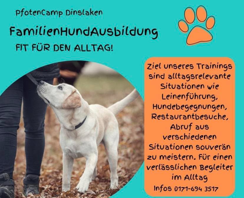 Nächster Kursstart FamilienHundAusbildung 
Donnerstag 09. Juli um 18:00
Jetzt noch anmelden und den Grundstein für ein vertrauensvolles und harmonisches Zusammenleben mit Euren Hundies legen! #pfotencamp_dinslaken #hundetrainingdinslaken #hundeschuledinslaken #alltagstraining_hundeschule_dinslaken