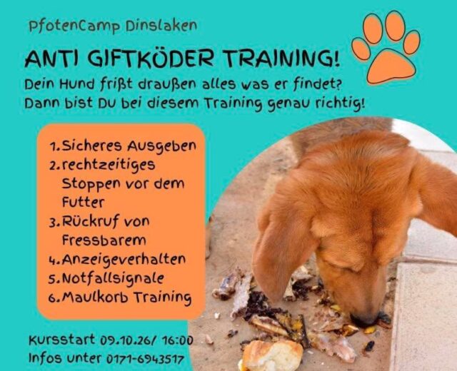 Anti-Giftköder-Training!
Ihr Hund frisst draußen alles was er findet? Dann ist dieses Training genau das richtige!
Sicheres Ausgeben - rechtzeitiges Stoppen - Rückruf von Fressbarem - Anzeigeverhalten
6 Stunden Praxistraining (1h wöchentlich)
Start 09.10.26 / 16:00
Preis € 135,00 #pfotencamp_dinslaken #hundetrainingdinslaken #hundeschuledinslaken #antigiftködertraining